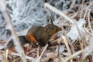 《猎杀：对决》新活动现已登陆！传奇武器＆猎人相送，本体与DLC限时促销！